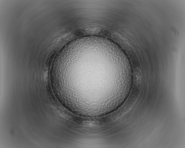 X0000112940745200909071054