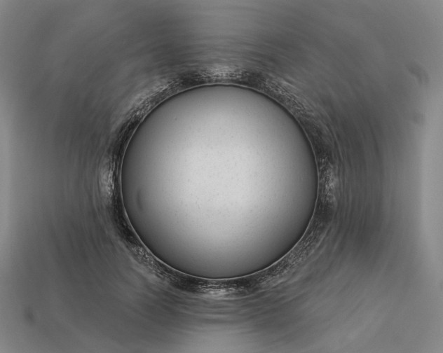 X0000112940746200909071054