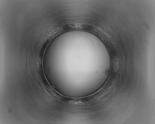 X0000112940747200909071054