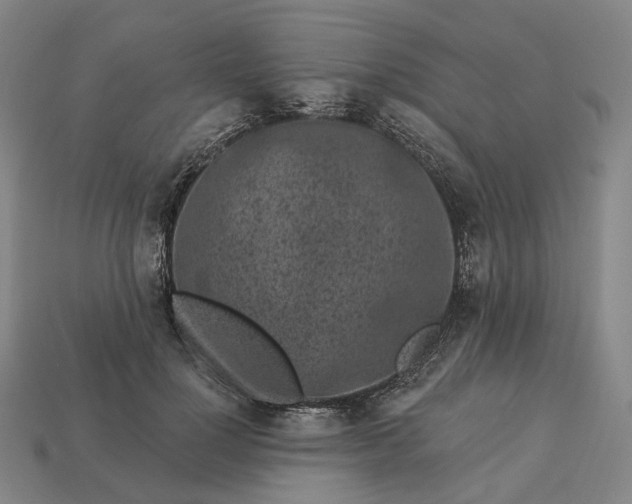 X0000112940748200909071054