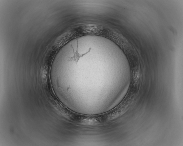 X0000112940749200909071054