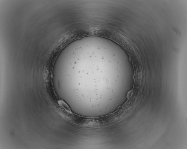 X0000112940750200909071054