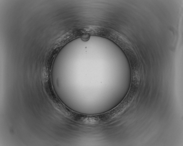 X0000112940751200909071054