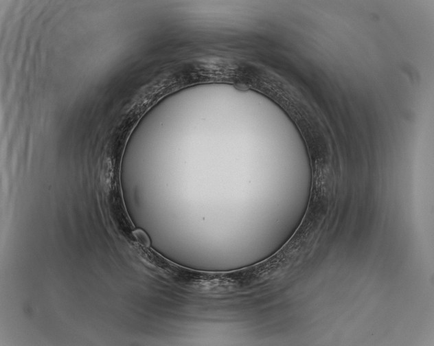 X0000112940752200909071054