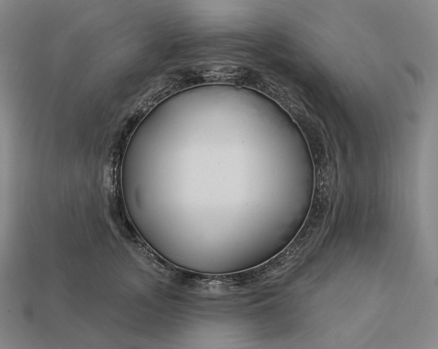 X0000112940755200909071054