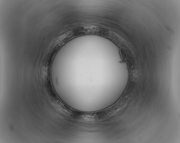 X0000112940756200909071054