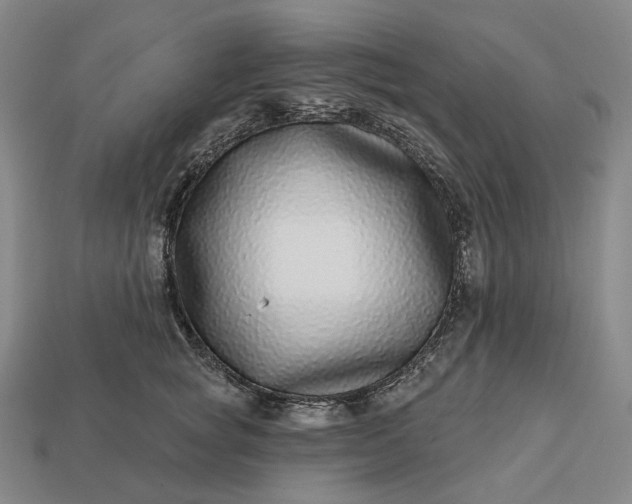 X0000112940757200909071054