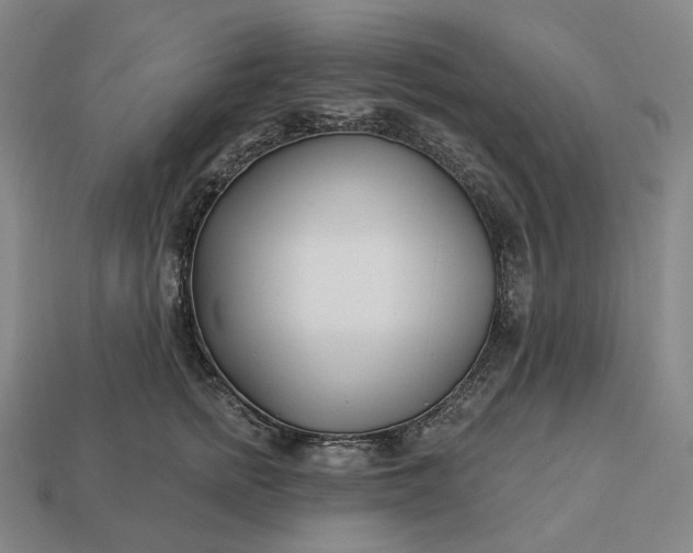 X0000112940758200909071054