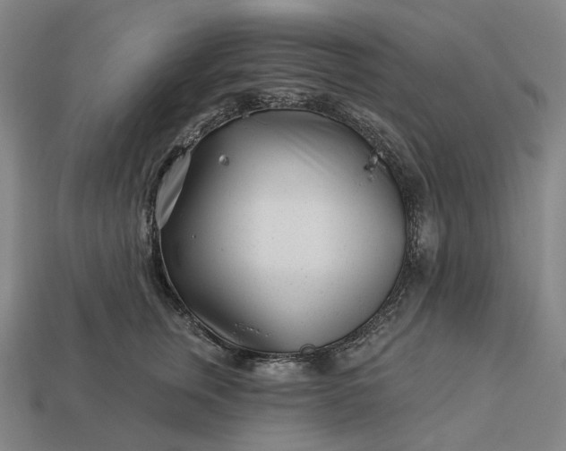 X0000112940759200909071054