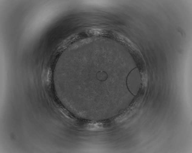 X0000112940760200909071054