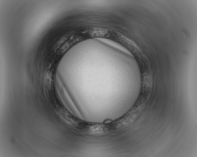 X0000112940761200909071054