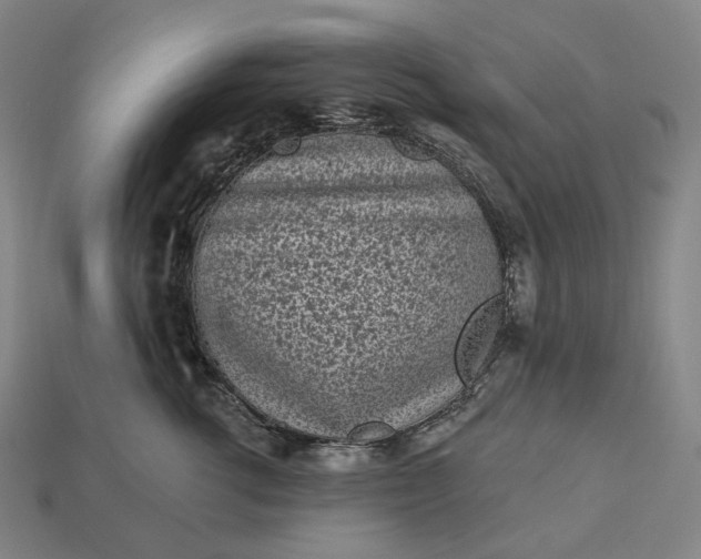 X0000112940762200909071054