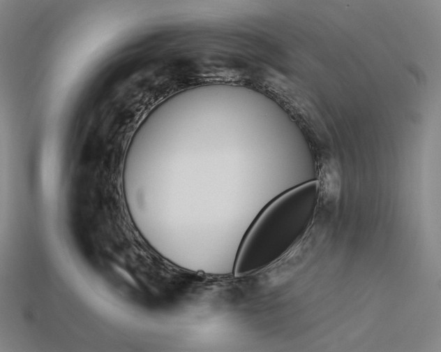 X0000112940764200909071054