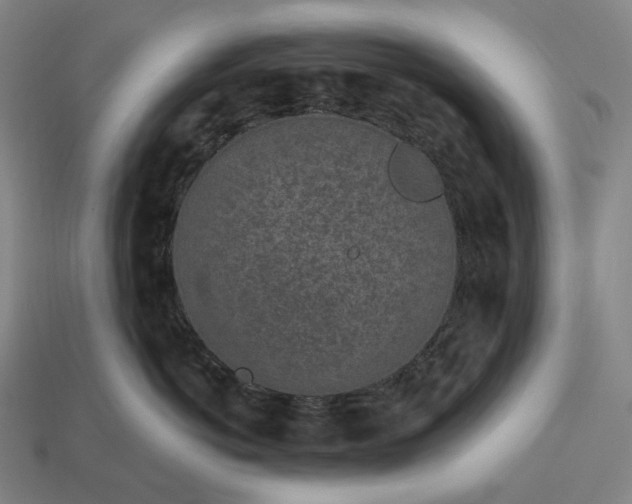 X0000112940766200909071054