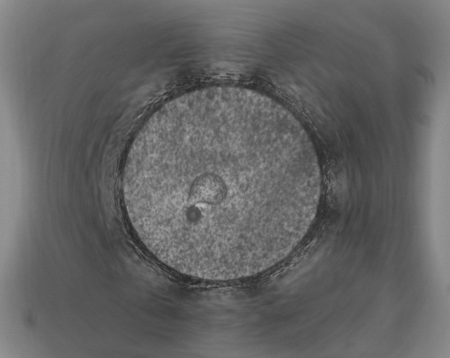 X0000112940769200909071054