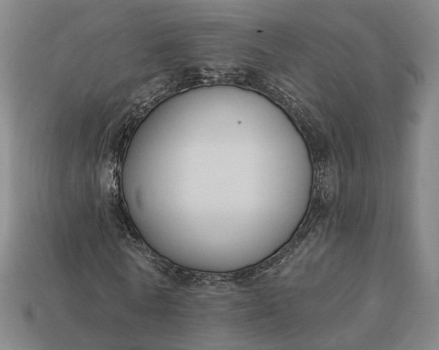 X0000112940770200909071054