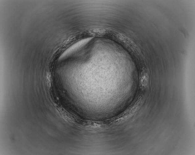 X0000112940772200909071054