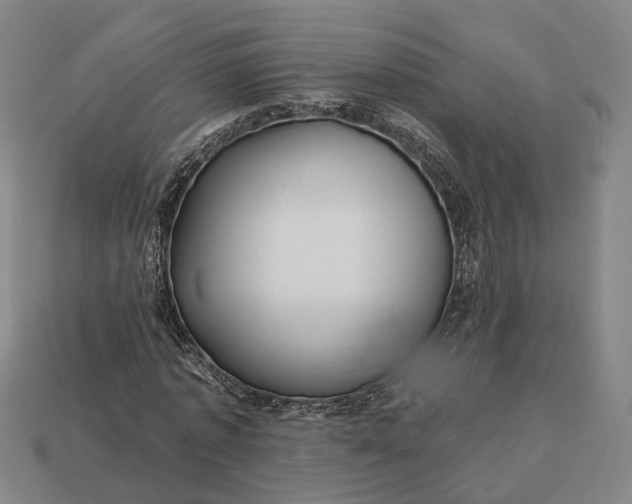 X0000112940773200909071054