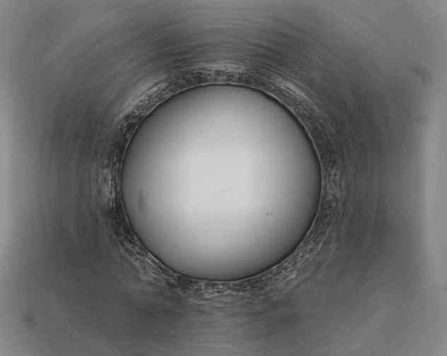 X0000112940774200909071054