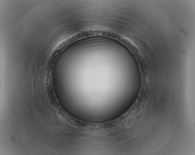 X0000112940775200909071054