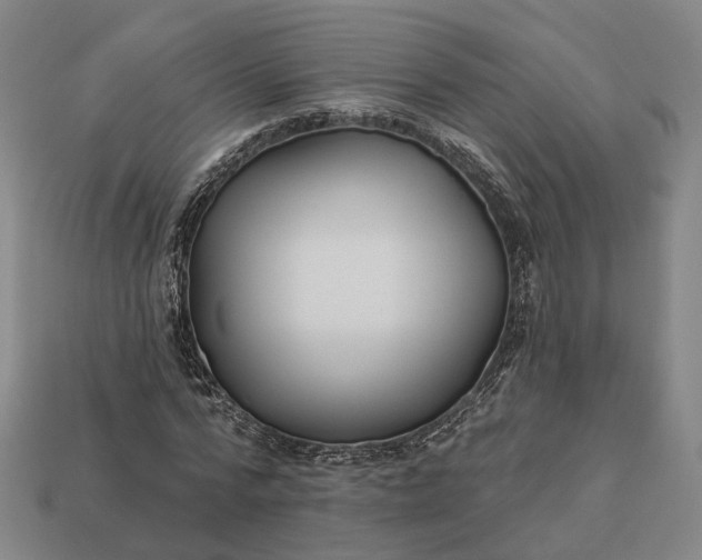 X0000112940776200909071054