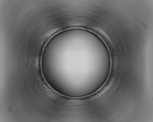 X0000112940777200909071054