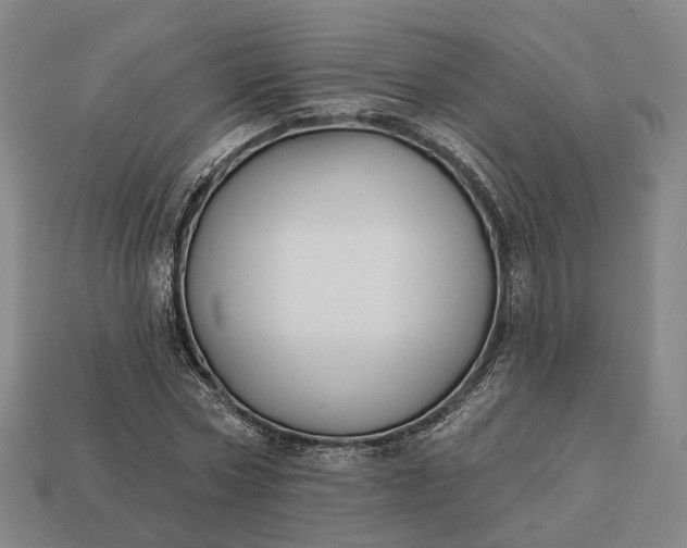 X0000112940778200909071054