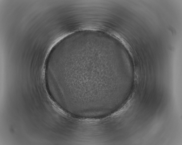 X0000112940779200909071054