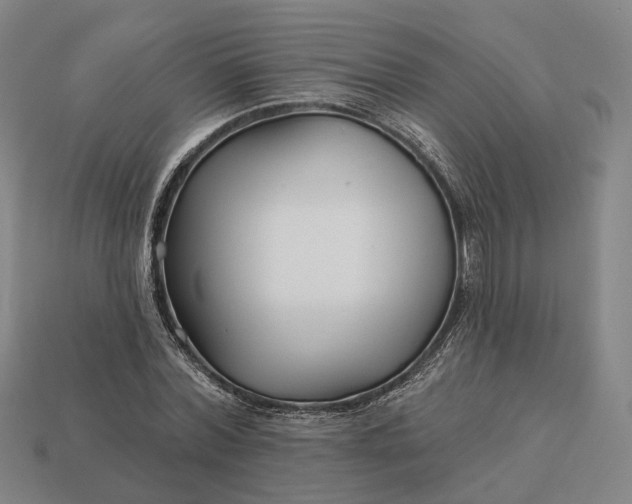 X0000112940780200909071054