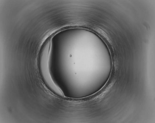 X0000112940781200909071054