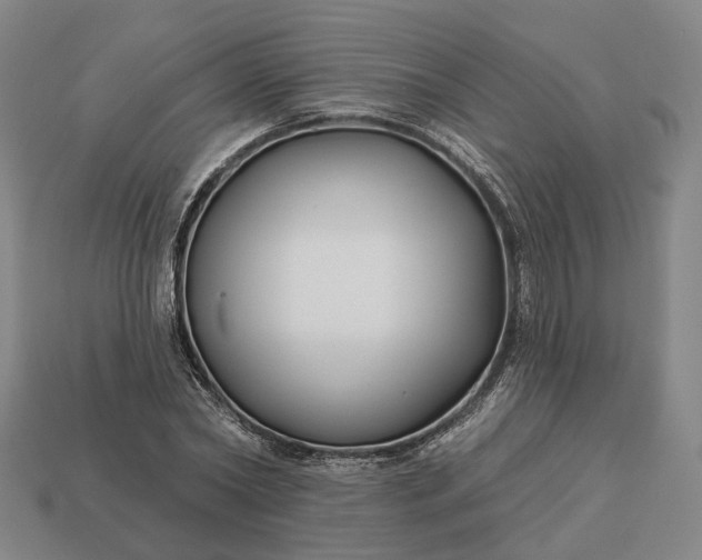 X0000112940782200909071054