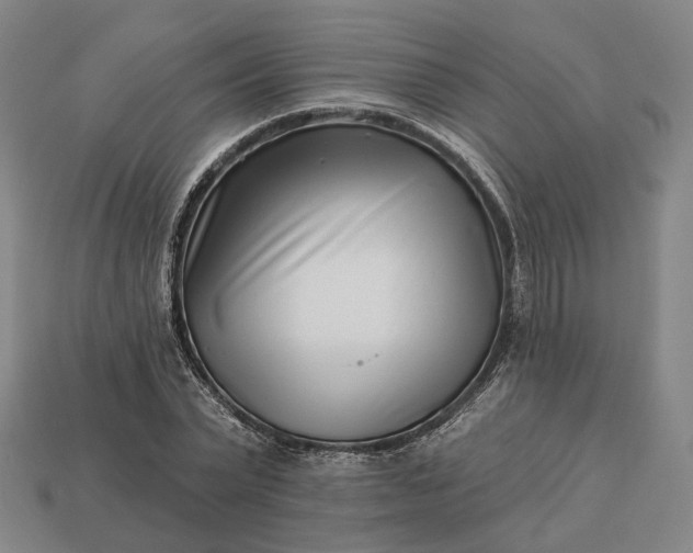 X0000112940783200909071053