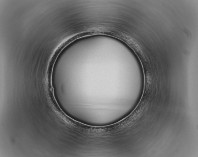 X0000112940784200909071053