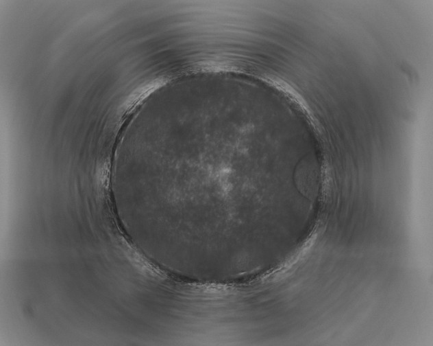 X0000112940785200909071053