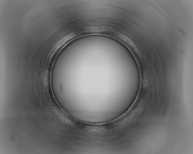 X0000112940786200909071053