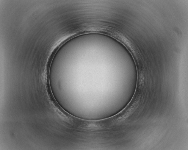 X0000112940787200909071053