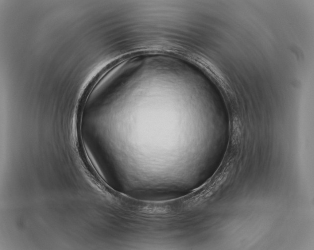 X0000112940788200909071053