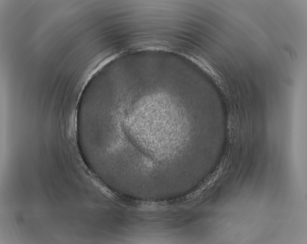 X0000112940790200909071053