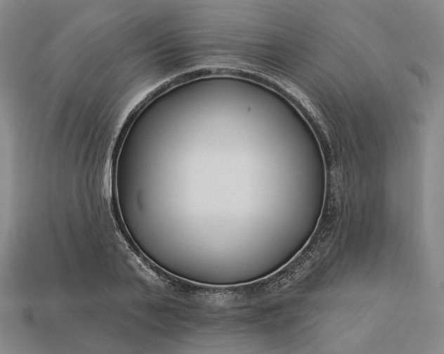 X0000112940791200909071053