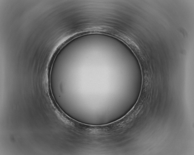 X0000112940792200909071053