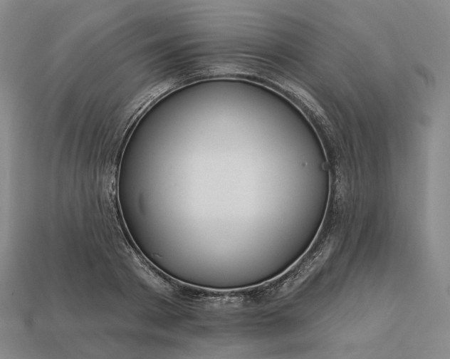 X0000112940793200909071053