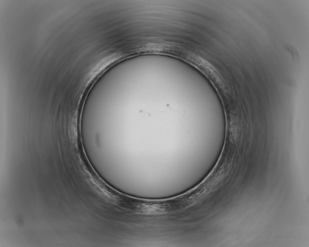 X0000112940794200909071053