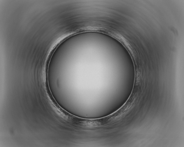 X0000112940795200909071053