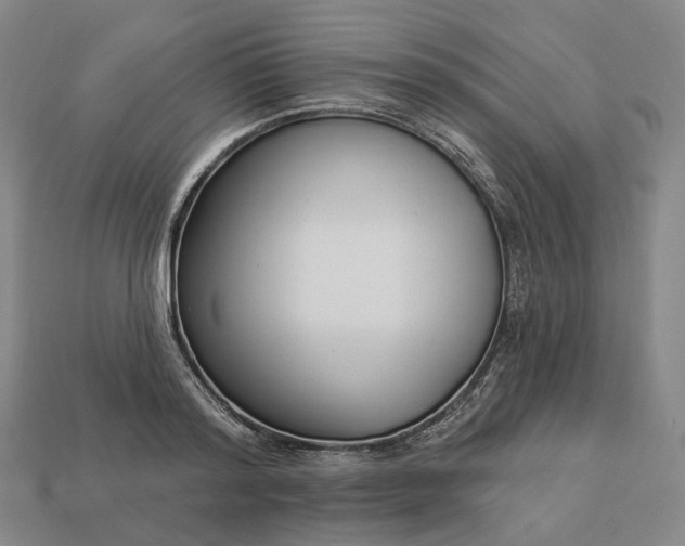 X0000112940796200909071053