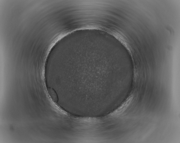 X0000112940797200909071053