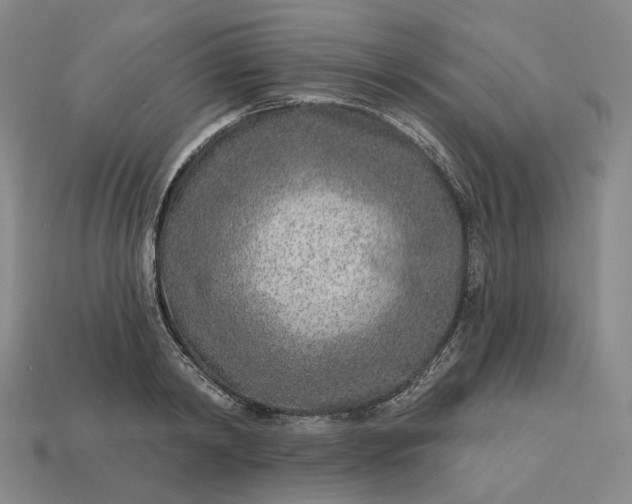 X0000112940798200909071053