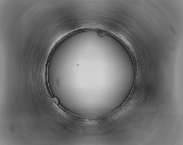 X0000112940799200909071053