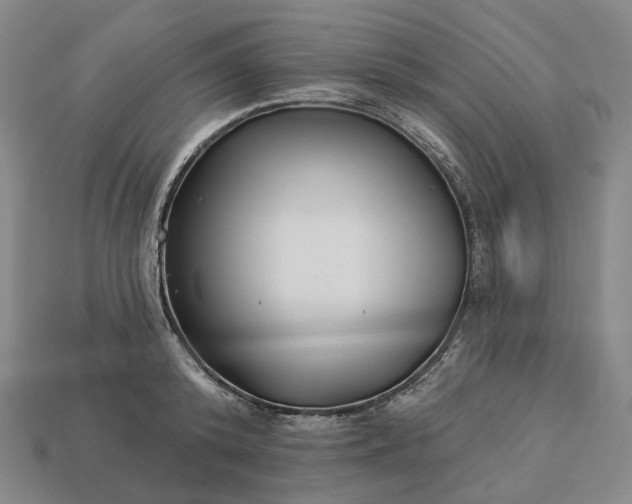 X0000112940800200909071053