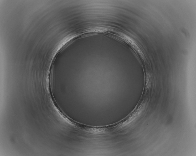 X0000112940802200909071053