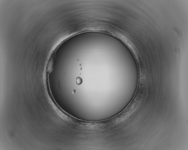 X0000112940803200909071053